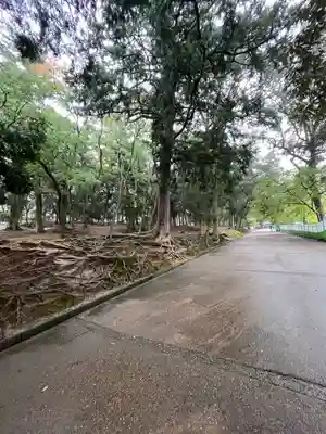 手向山八幡宮(奈良県)