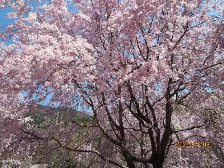 久延彦神社(奈良県)