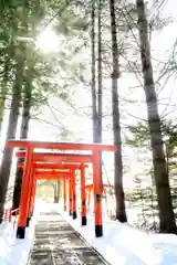 芽室神社(北海道)