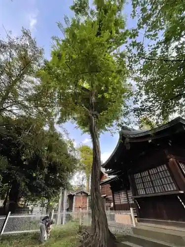 多田神社の自然