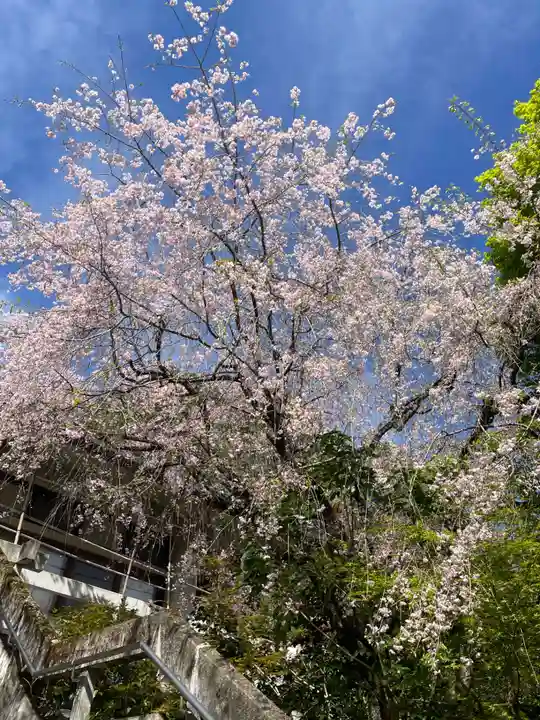 南殿順興寺(京都府)
