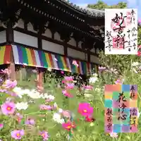 般若寺 ❁コスモス寺❁(奈良県)