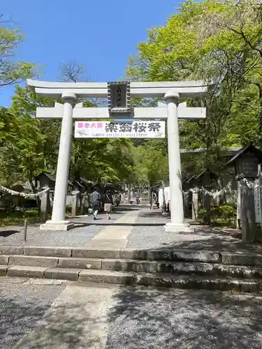 南湖神社の鳥居