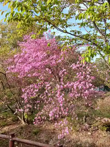 廣田神社(兵庫県)