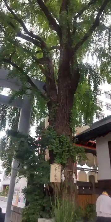 波除神社(波除稲荷神社)(東京都)
