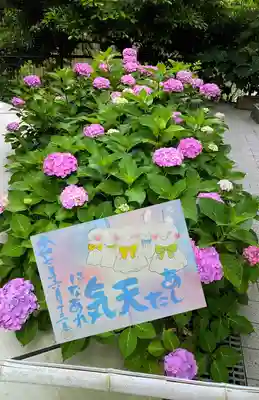 月替り御朱印6月