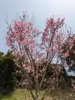 石内のお大師さん 金剛院(広島県)