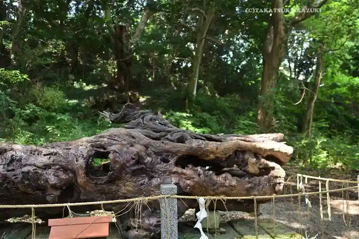泉神社(茨城県)
