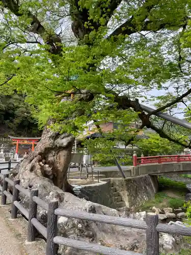 柏原大神宮(兵庫県)