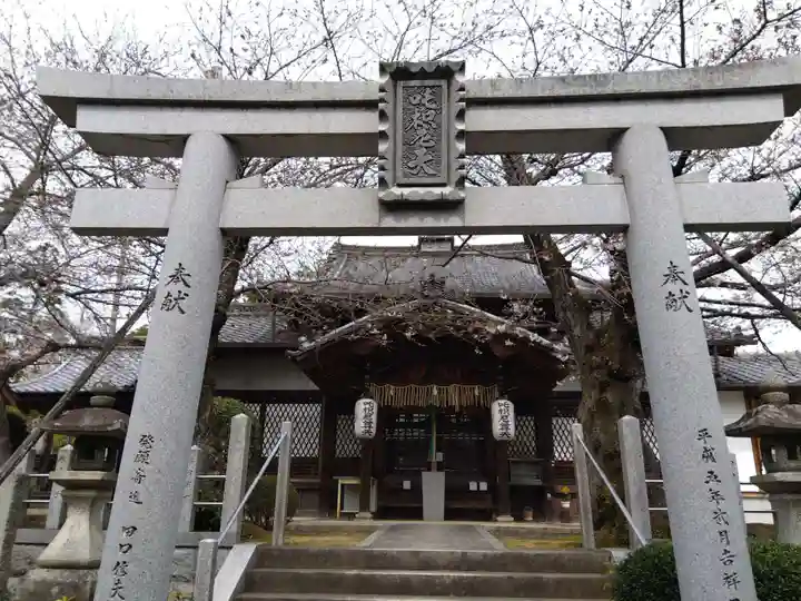 吒枳尼天(法伝寺)(京都府)