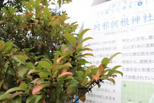 阿邪訶根神社のその他建物