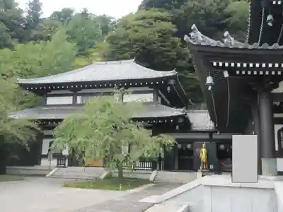 長谷寺(神奈川県)