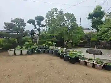 極楽寺(大阪府)