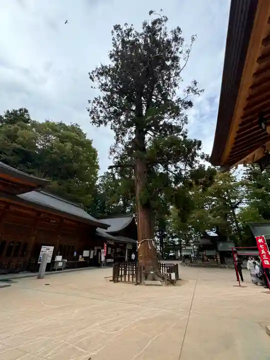 穂高神社本宮(長野県)