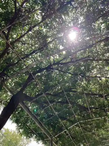 足利織姫神社(栃木県)
