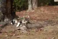 玉野御嶽神社(愛知県)