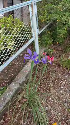 隆善寺(福岡県)