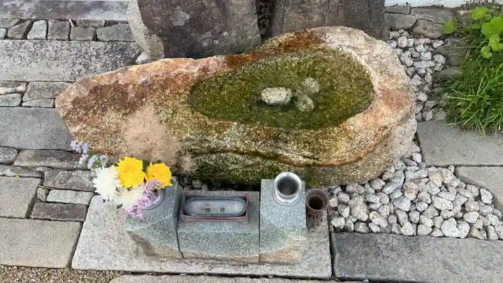 圓光禅寺(円光寺)(愛知県)