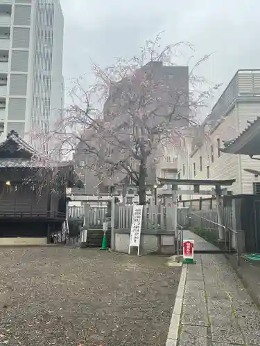 荻窪白山神社(東京都)