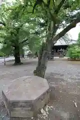 寛永寺(根本中堂)の建物その他