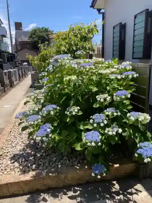 寶安寺（宝安寺）(神奈川県)