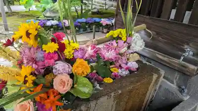 勝林寺(京都府)