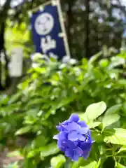 仙波東照宮(埼玉県)