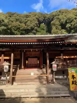 宇治上神社の本殿・本堂