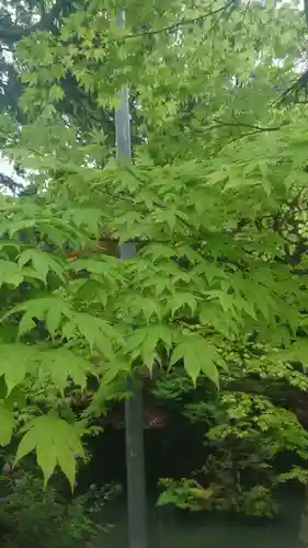 大縣神社(愛知県)