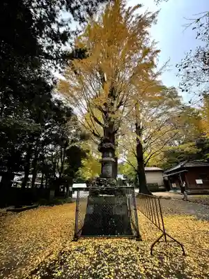 春日部八幡神社(埼玉県)