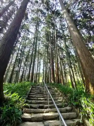 高蔵寺の庭園