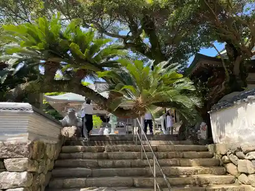 金剛福寺(高知県)