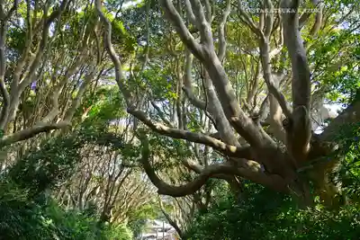 酒列磯前神社(茨城県)