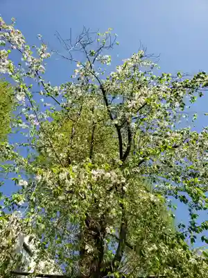 池尻稲荷神社(東京都)