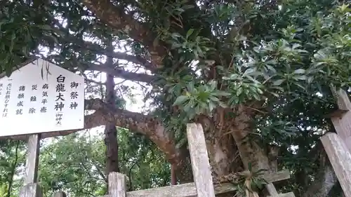 出雲手斧神社の歴史