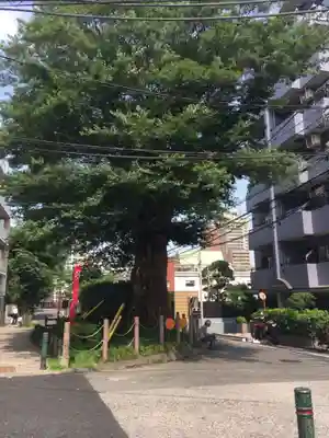 澤蔵司稲荷（慈眼院）(東京都)