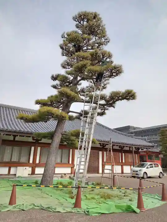 蓮華王院(三十三間堂)(京都府)