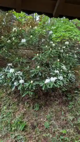 千如寺大悲王院(福岡県)