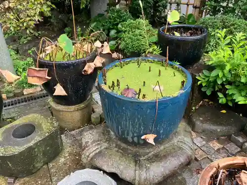 日蓮宗龍口山本龍寺(神奈川県)