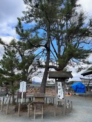 阿蘇神社(熊本県)