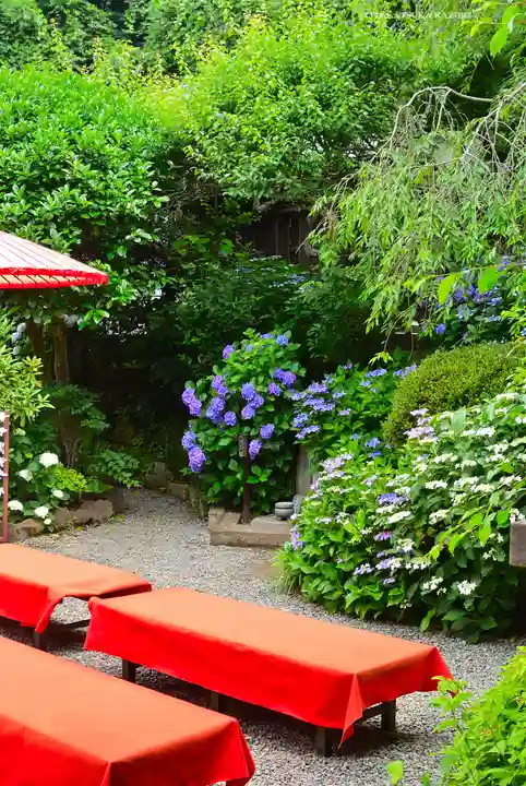 円覚寺(神奈川県)
