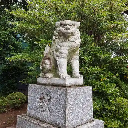 柴又八幡神社の狛犬