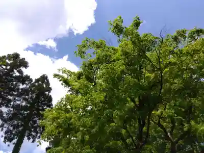 賀茂神社(福井県)