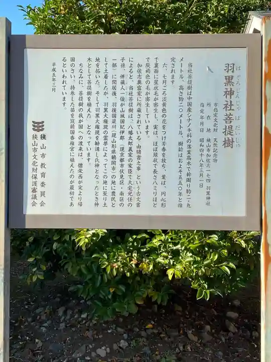 羽黒神社のその他建物