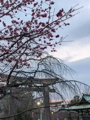 豊國神社の{uncategorized: "未分類", other: "その他", undefined: "問題あり", building: "その他建物", grave: "お墓", sacred_gate: "鳥居", guardian: "狛犬", statue: "像", buddha: "仏像", history: "歴史", nature: "自然", garden: "庭園", animal: "動物", pagoda: "塔", temizu: "手水舎", mountain_gate: "山門・神門", sanctuary: "本殿・本堂", subordinate: "末社・摂社", art: "芸術", scenery: "景色", jizo: "地蔵", ema: "絵馬", goshuin: "御朱印", omikuji: "おみくじ", items: "授与品その他", amulet: "お守り", goshuincho: "御朱印帳", eats: "食事", festival: "お祭り", votive_dance: "神楽", shichigosan: "七五三参", wedding: "結婚式", experience: "体験その他", initially: "初詣", around: "周辺", anti_infection: "感染症対策"}
