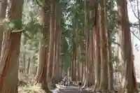 戸隠神社奥社(長野県)