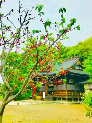 女化神社の本殿・本堂
