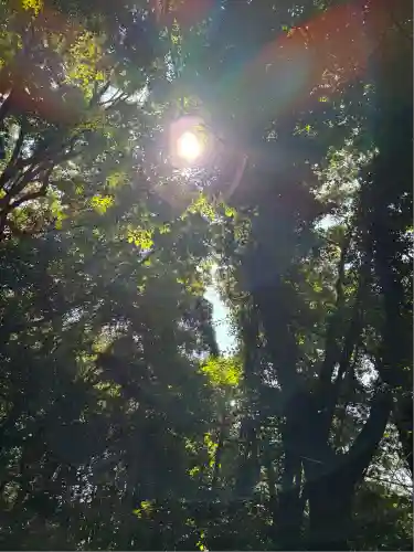 サムハラ神社 奥の宮(岡山県)