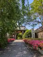 福蔵院(東京都)