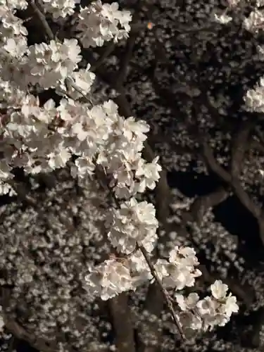 妙道寺(栃木県)